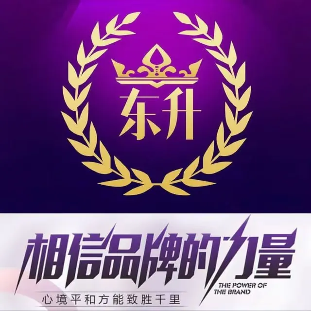 东升国际